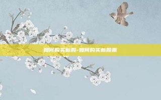 如何购买新股-如何购买新股票
