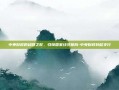 中央财政的稳健之舵，引领国家经济航向-中央财政转移支付
