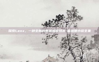 探索Lenx，一种全新的数据加密技术-雷恩那小说全集