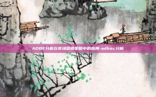 ADBE分析在市场营销策略中的应用-adhoc分析