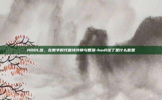 HODL住，在数字时代保持冷静与智慧-hodl住了是什么意思