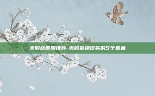 美股蓝筹股推荐-美股最建议买的5个基金