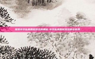探索中华私募股权投资的奥秘-中华私募股权投资协会官网