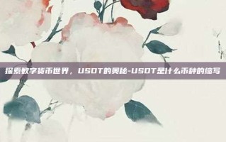 探索数字货币世界，USDT的奥秘-USDT是什么币种的缩写