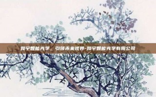 舜宇智能光学，引领未来视界-舜宇智能光学有限公司