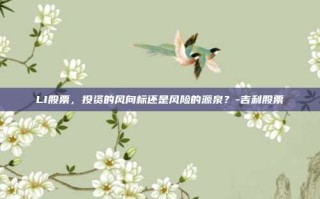 LI股票，投资的风向标还是风险的源泉？-吉利股票