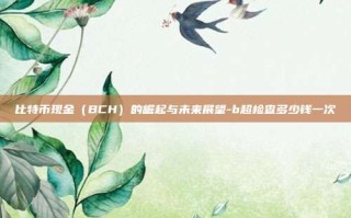 比特币现金（BCH）的崛起与未来展望-b超检查多少钱一次