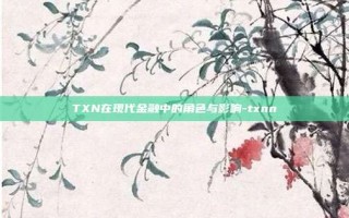 TXN在现代金融中的角色与影响-txnn