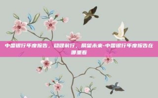 中国银行年度报告，稳健前行，展望未来-中国银行年度报告在哪里看
