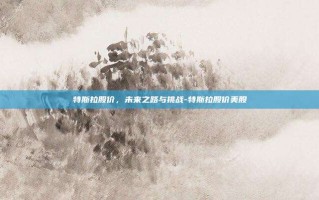 特斯拉股价，未来之路与挑战-特斯拉股价美股