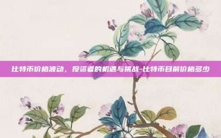 比特币价格波动，投资者的机遇与挑战-比特币目前价格多少