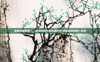 美国超级星期二，政治风暴中的关键时刻-美国超级星期二结束