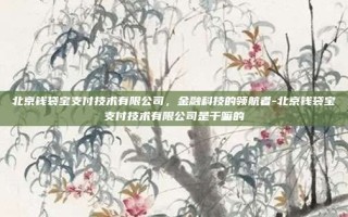 北京钱袋宝支付技术有限公司，金融科技的领航者-北京钱袋宝支付技术有限公司是干嘛的