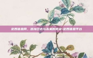 定西信息网，连接过去与未来的桥梁-定西信息平台