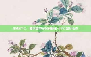 探究ETC，数字货币领域的新星-ETC是什么币