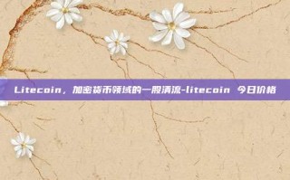Litecoin，加密货币领域的一股清流-litecoin 今日价格