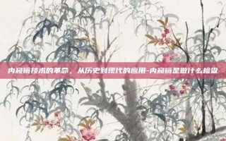 内窥镜技术的革命，从历史到现代的应用-内窥镜是做什么检查