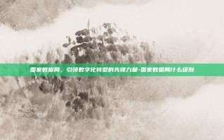 国家数据局，引领数字化转型的先锋力量-国家数据局什么级别