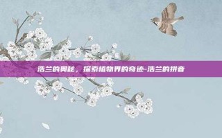 浩兰的奥秘，探索植物界的奇迹-浩兰的拼音
