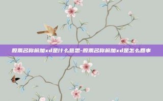 股票名称前加xd是什么意思-股票名称前加xd是怎么回事