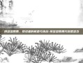 拼多多股票，投资者的机遇与挑战-拼多多股票代码是多少