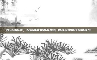 拼多多股票，投资者的机遇与挑战-拼多多股票代码是多少