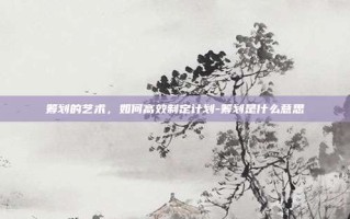 筹划的艺术，如何高效制定计划-筹划是什么意思