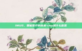IMUS，智能医疗的未来-imu是什么意思