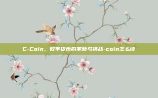 C-Coin，数字货币的革新与挑战-coin怎么读