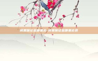闲置保证金哪里去-闲置保证金哪里去退