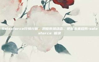 Salesforce行情分析，洞察市场动态，把握未来趋势-salesforce 板块