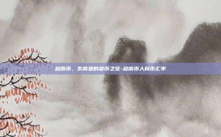 越南币，东南亚的货币之花-越南币人民币汇率