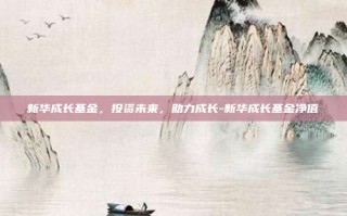 新华成长基金，投资未来，助力成长-新华成长基金净值