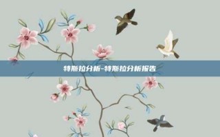 特斯拉分析-特斯拉分析报告