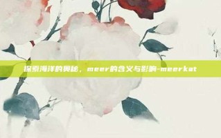 探索海洋的奥秘，meer的含义与影响-meerkat