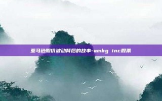 亚马逊股价波动背后的故事-ambg inc股票