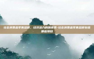 社会消费品零售总额，经济活力的晴雨表-社会消费品零售总额包括哪些项目