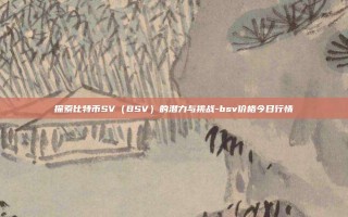 探索比特币SV（BSV）的潜力与挑战-bsv价格今日行情