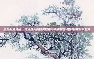 思科财报分析，技术巨头的财务健康与未来展望-思科财报发布时间