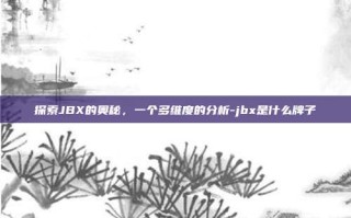 探索JBX的奥秘，一个多维度的分析-jbx是什么牌子
