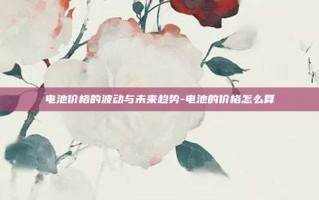 电池价格的波动与未来趋势-电池的价格怎么算