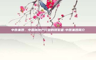 中原集团，中国房地产行业的领军者-中原集团简介
