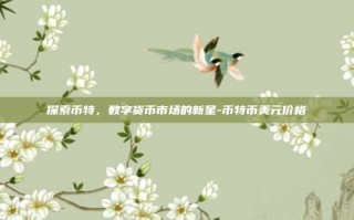 探索币特，数字货币市场的新星-币特币美元价格