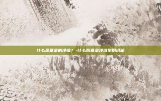 什么是基金的净值？-什么叫基金净值举例说明
