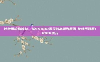 比特币价格波动，从55000美元的高峰到回落-比特币跌回11000美元