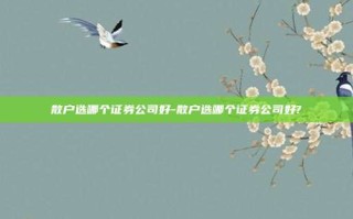 散户选哪个证券公司好-散户选哪个证券公司好?