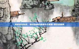 构筑安全防线，物资储备的重要性与策略-物资储备局