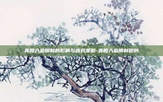 美股入金限制的影响与应对策略-美股入金限制规则