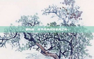 田向利，在平凡中绽放非凡之光-