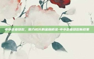 中小企业贷款，助力成长的金融桥梁-中小企业贷款新政策